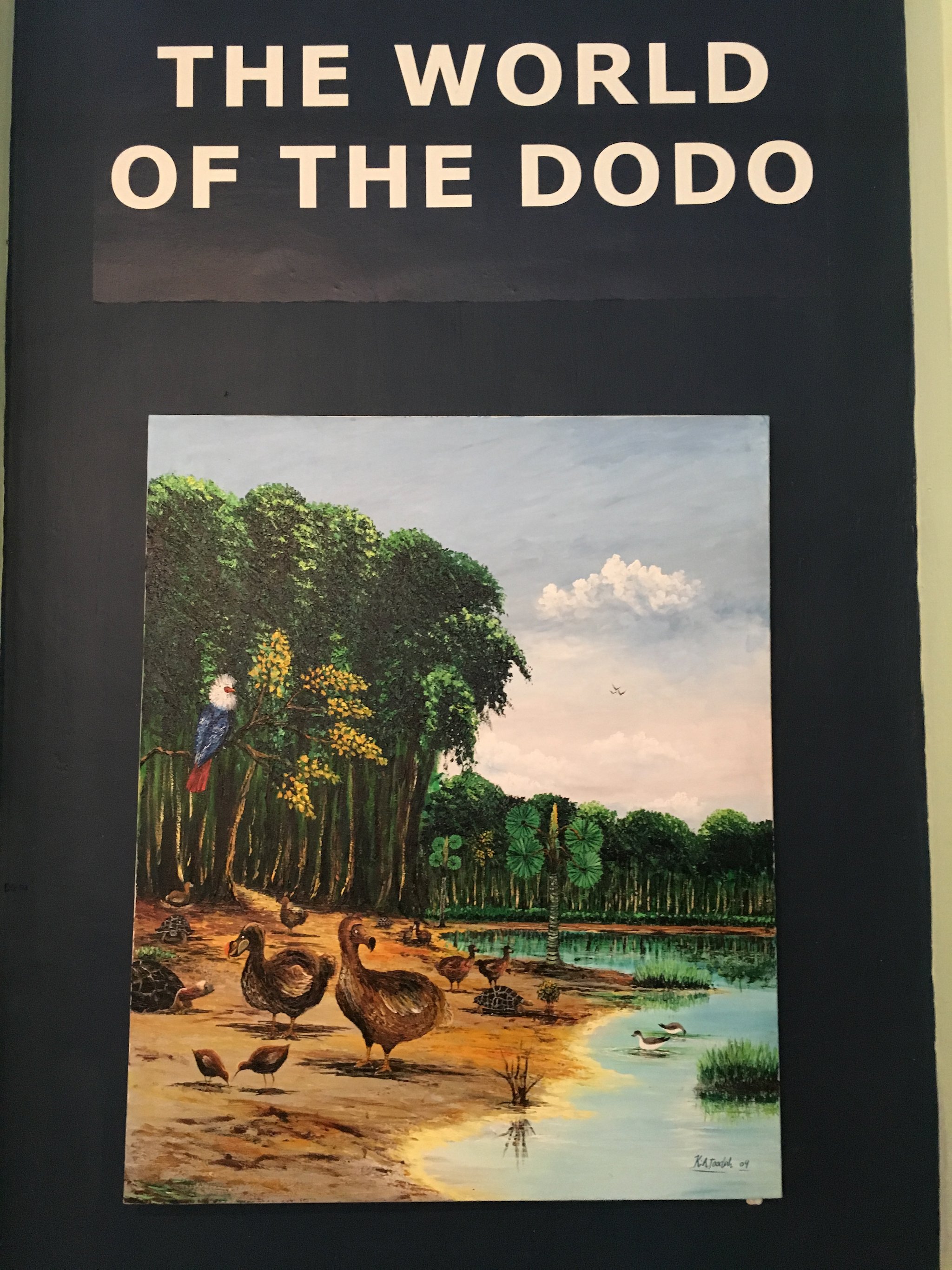 The World of the Dodo exhibit at Mauritius Natural History Museum